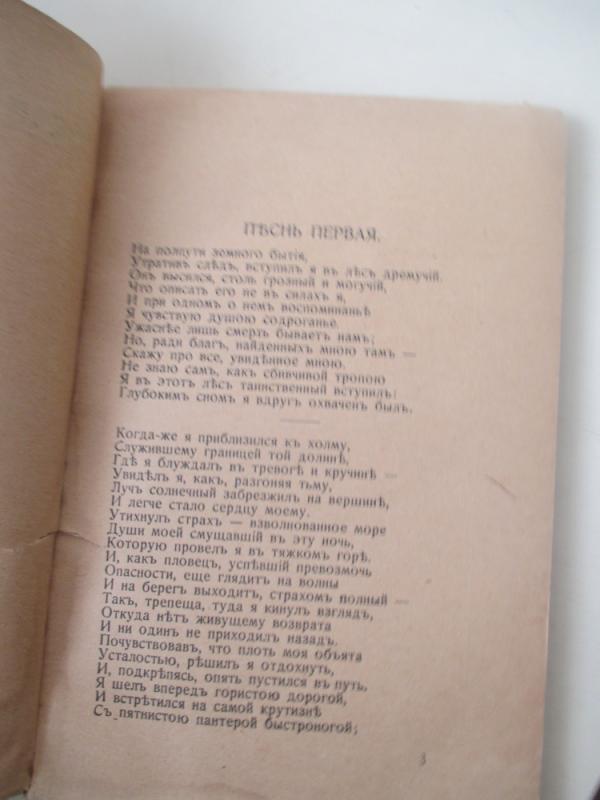 Pragaras - Aligjeris Dantė, knyga 6