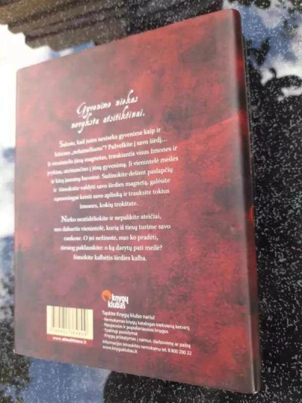 Širdies magnetizmo paslaptis - Reudiger Schache, knyga 3