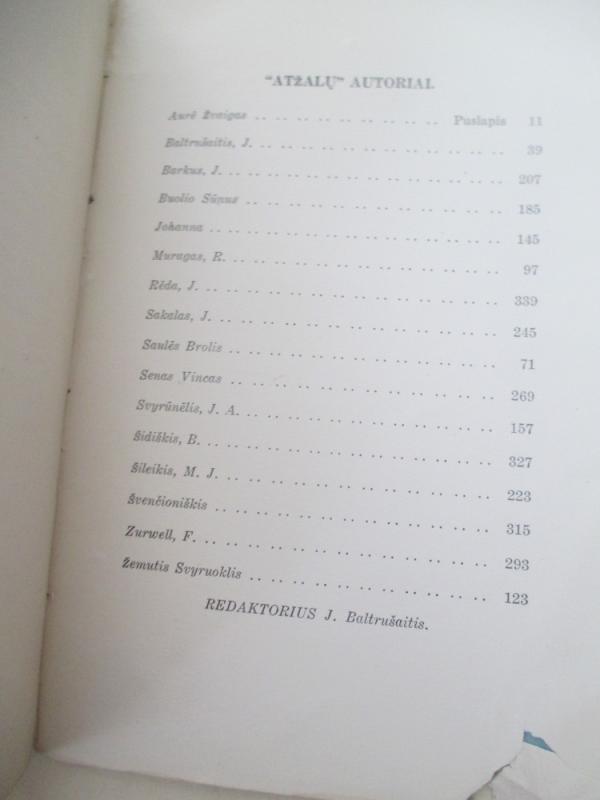 Atžalos - Jurgis Baltrušaitis, knyga 4