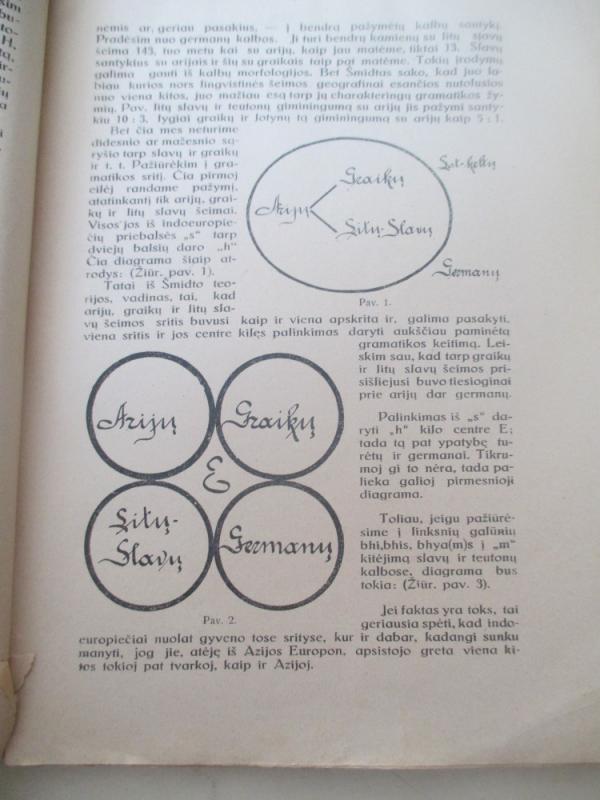 Indoeuropiečių protėvynė - Vincas Krėvė, knyga 5