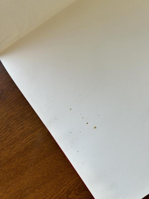 Lietuvos gobelenas - Daiva Rekertaitė-Načiulienė, knyga 3