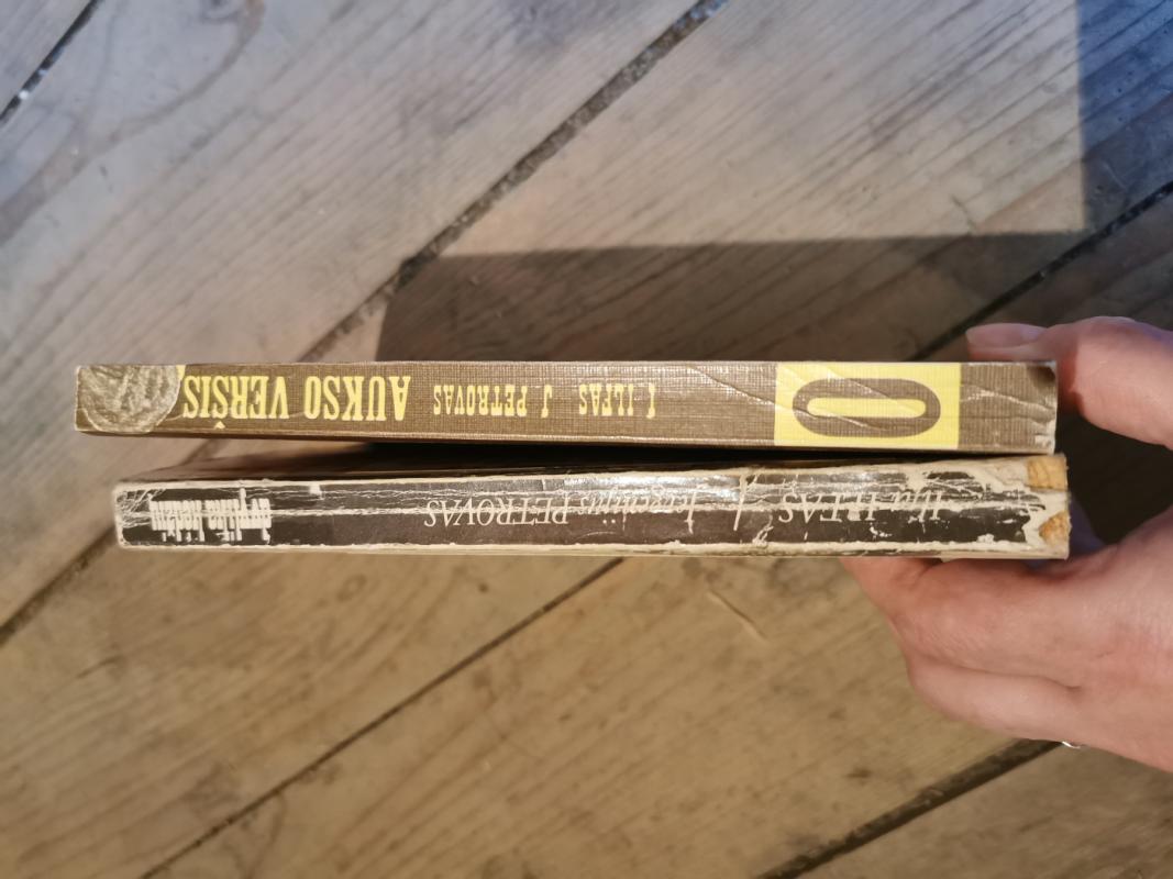 Aukso veršis - J. Petrovas, I.  Ilfas, knyga 3