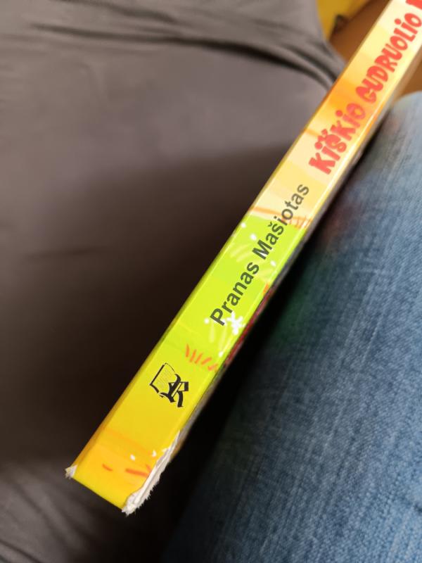 Kiškio gudruolio nuotykiai - Pranas Mašiotas, knyga 3