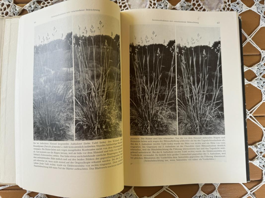 Wissenschaftliche Pflanzenphotographie - Giunter Olberg, knyga 4