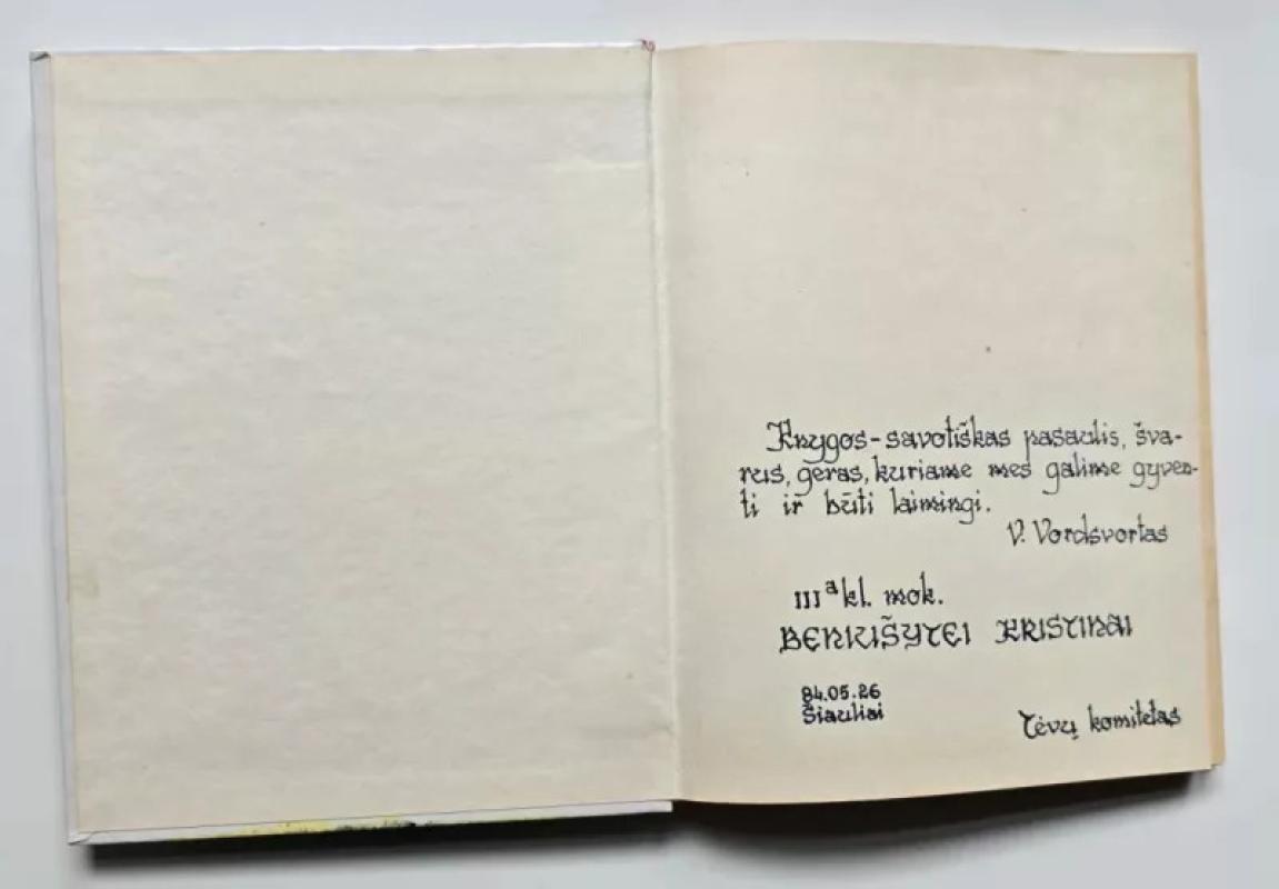 Geltonos ramunės - Aleksas Baltrūnas, knyga 3