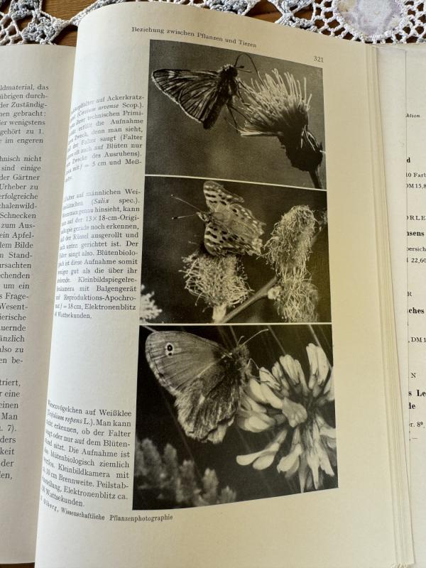 Wissenschaftliche Pflanzenphotographie - Giunter Olberg, knyga 6