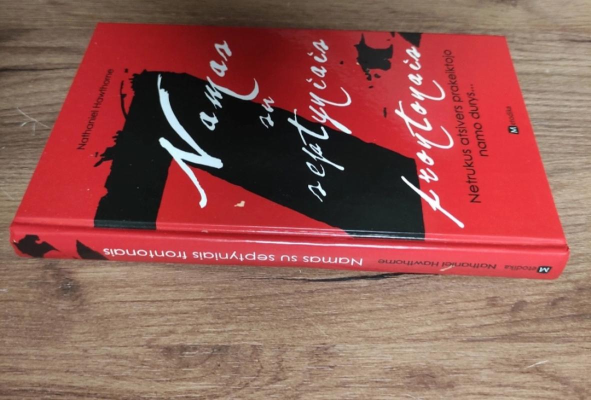 Namas su septyniais frontonais - Nathaniel Hawthorne, knyga 3