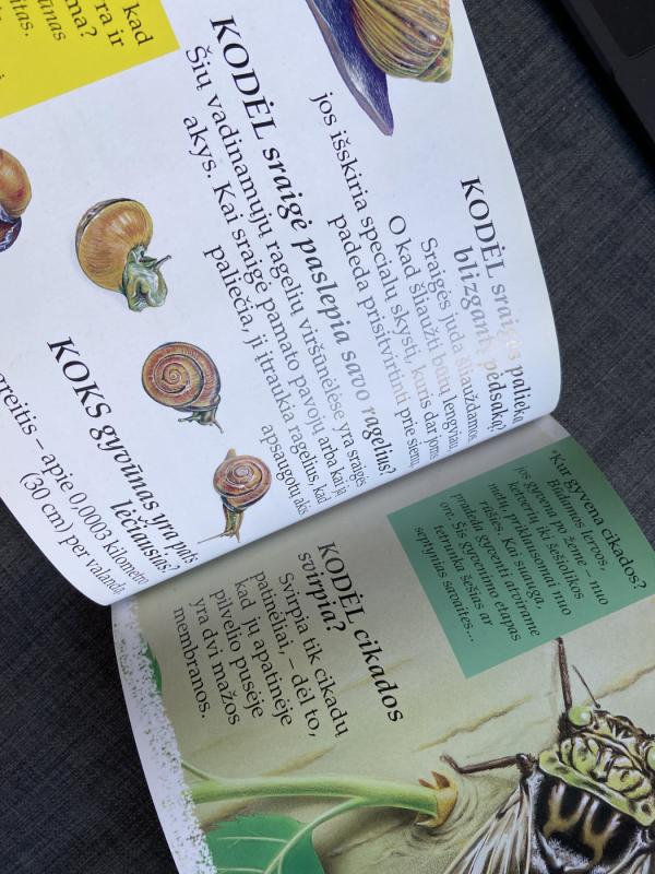 Tikrai? Oho... Tai bent - Susaeta Ediciones, knyga 5