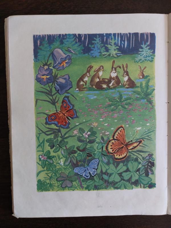 Buvo buvo, kaip nebuvo - Kostas Kubilinskas, knyga 6