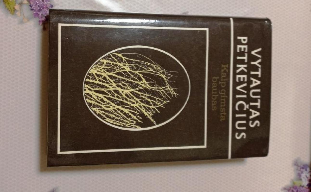 Kaip gimsta baubas - Vytautas Petkevičius, knyga 3