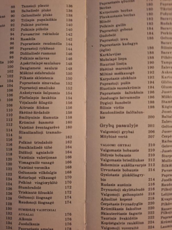 Mažieji miško turtai - V. Butkus, ir kiti , knyga 3