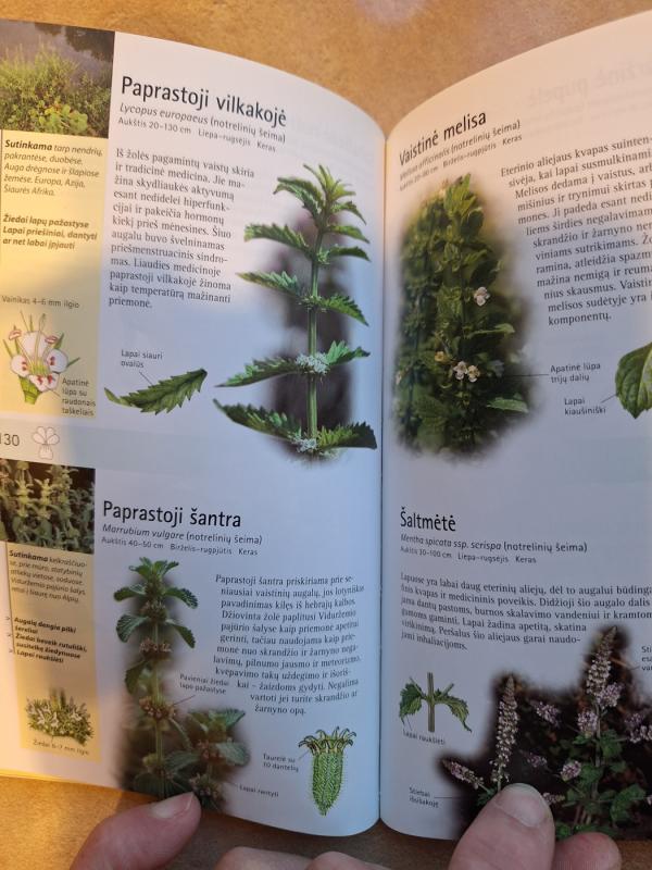 Vaistinių augalų žinynas - Wolfgang Hensel, knyga 4