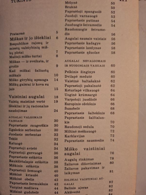 Mažieji miško turtai - V. Butkus, ir kiti , knyga 4