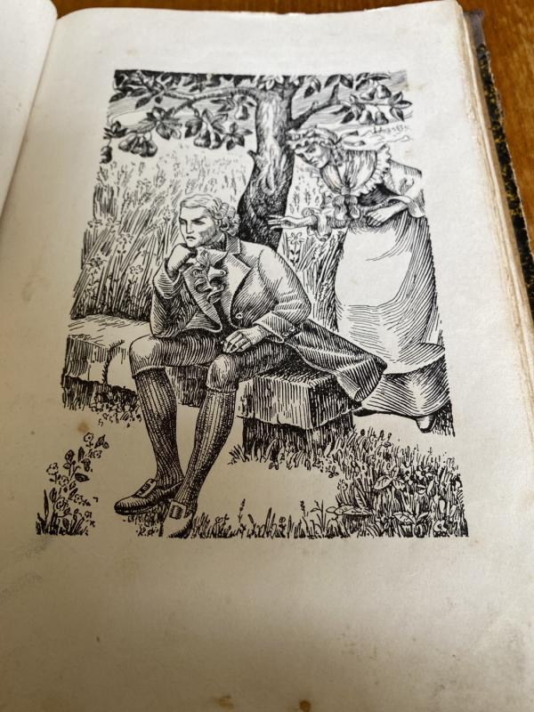 Hermanas ir Dorotėja - Johann Wolfgang Goethe, knyga 2