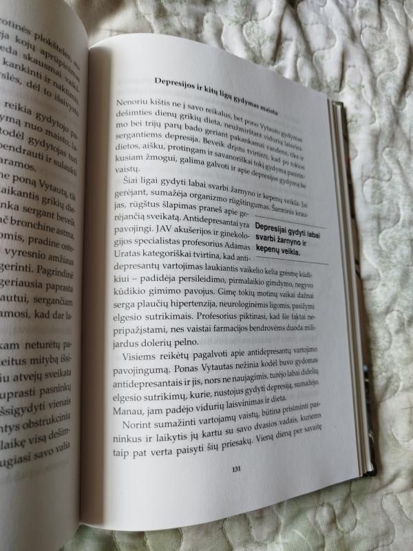 Šventųjų gyvenimas Marijos žemėje - Filomena Taunytė, knyga 4