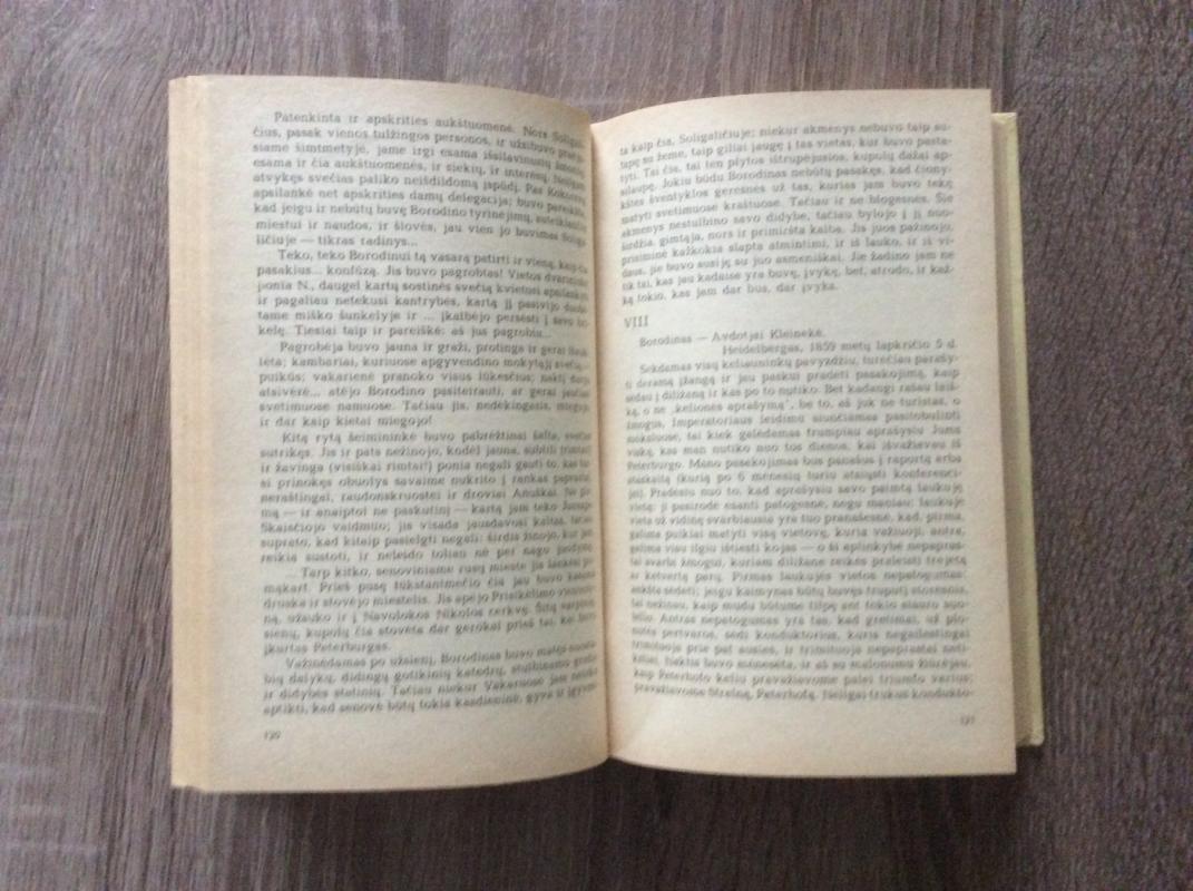 Borodinas - Roaldas Dobrovenskis, knyga 4