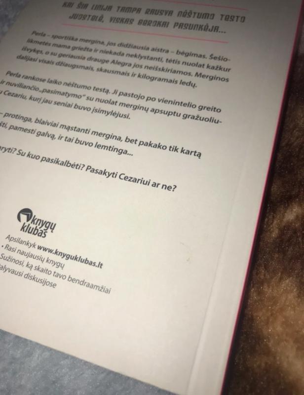 Plona rausva linija - Jandy Nelson Annalisa Strada, knyga 4