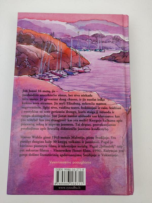 Įsilaužėlis - Mats Wahl, knyga 4