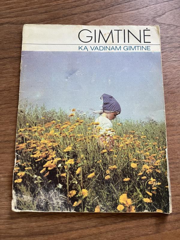 Gimtinė. Ką vadinam gimtine - Birutė Grabauskienė, knyga 2