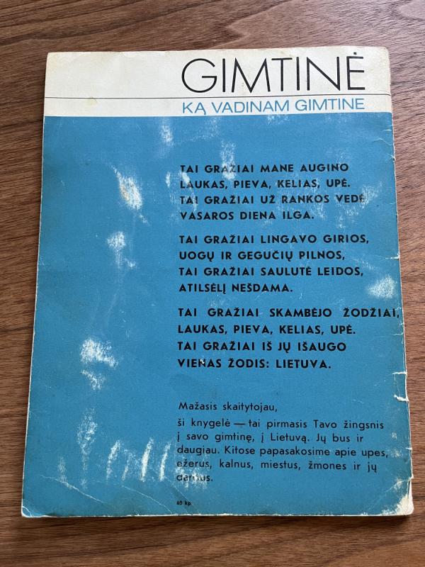 Gimtinė. Ką vadinam gimtine - Birutė Grabauskienė, knyga 3