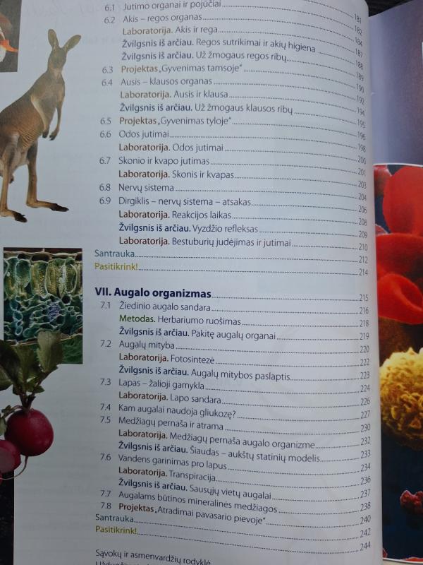 BIOS 7 KLASEI 2 DALIS - Autorių Kolektyvas, knyga 4