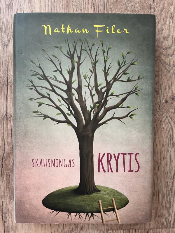 Skausmingas krytis - Nathan Filer, knyga 2
