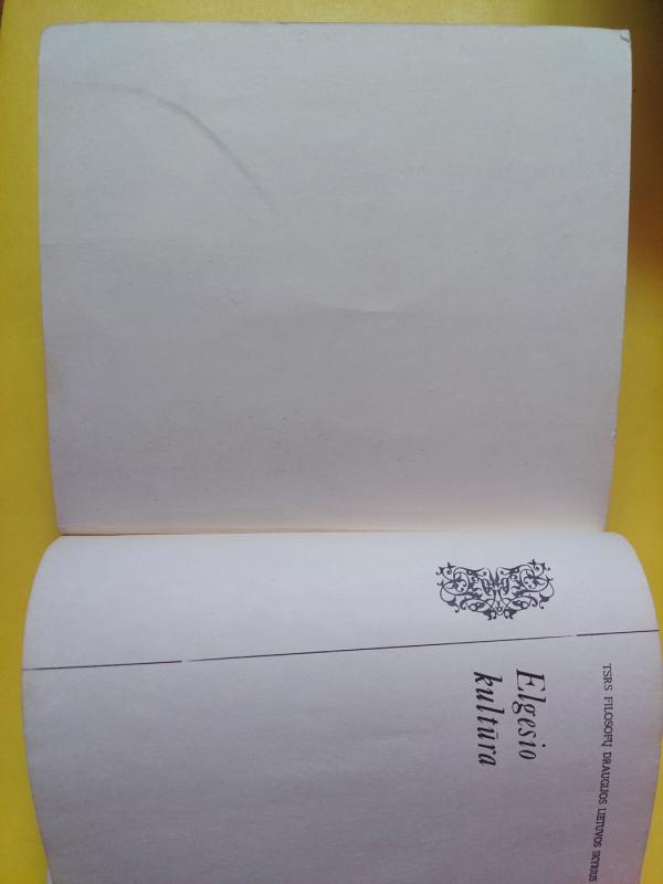 Elgesio Kultūra - Autorių Kolektyvas, knyga 4