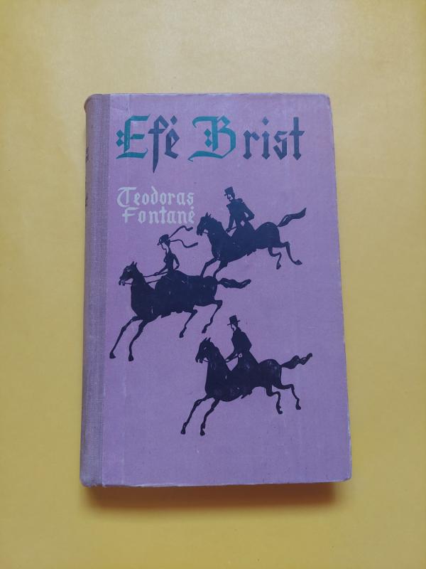 Egoistas - Džordžas Mereditas, knyga 6