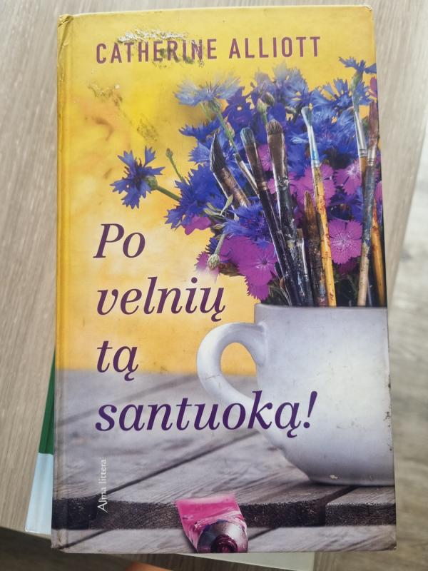 Po velnių tą santuoką! - Catherine Alliott, knyga 2
