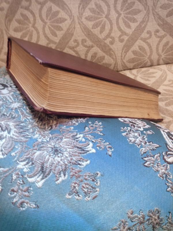 zmogus kuris juokiasi - Viktoras Hugo, knyga 4