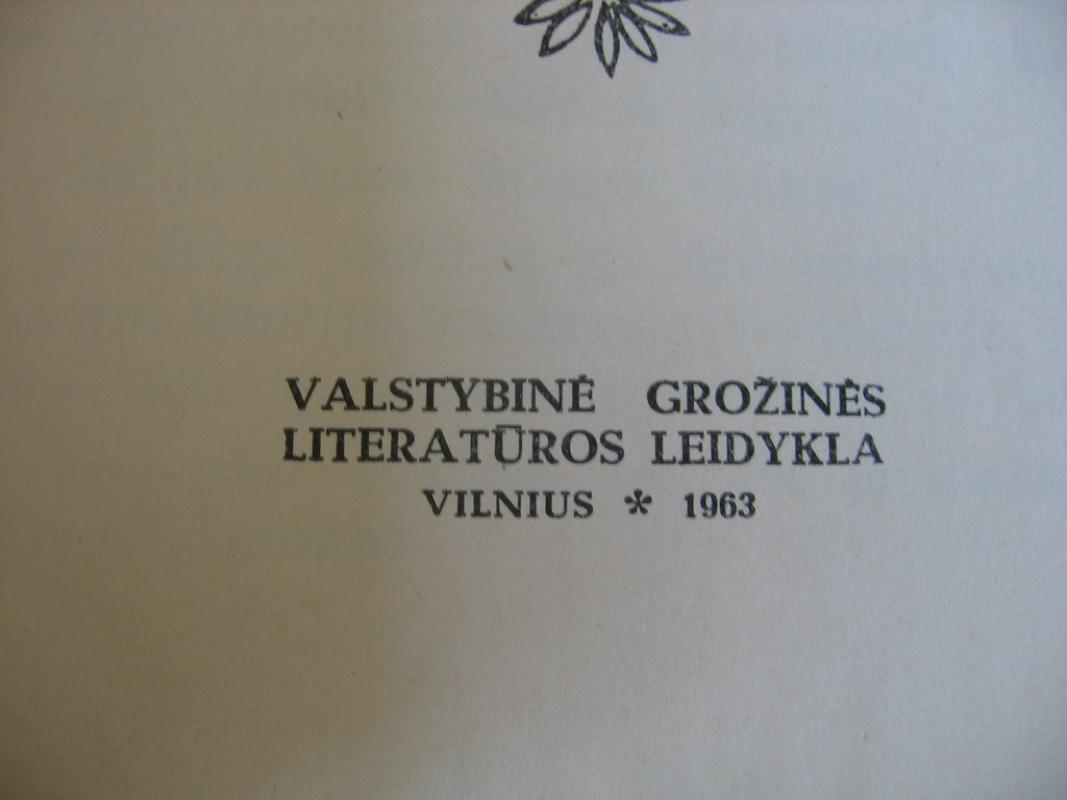 Lygiosios trunka akimirką - Icchokas Meras, knyga 4
