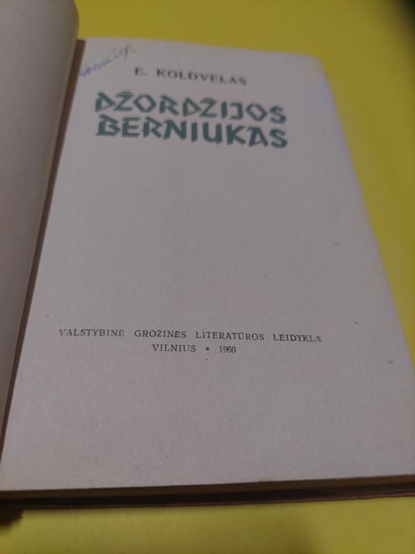 Džordžijos berniukas - Erskinas Koldvelas, knyga 5