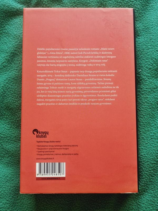 Dešimtasis ratas - Jodi Picoult, knyga 3