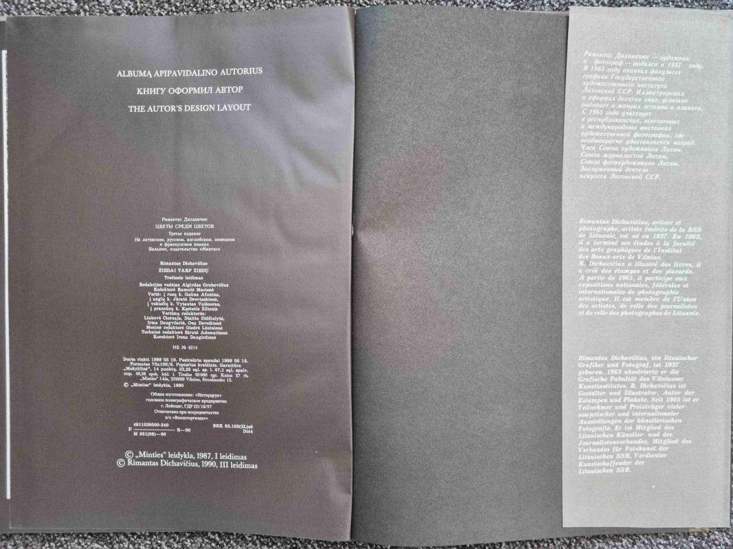 Žiedai tarp žiedų - Rimantas Dichavičius, knyga 3