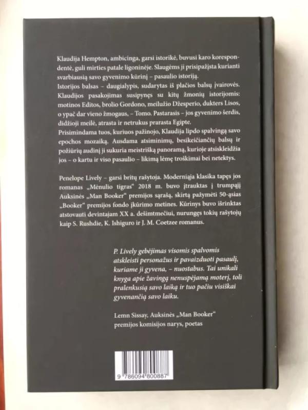 Mėnulio Tigras - Penelope Lively, knyga 3