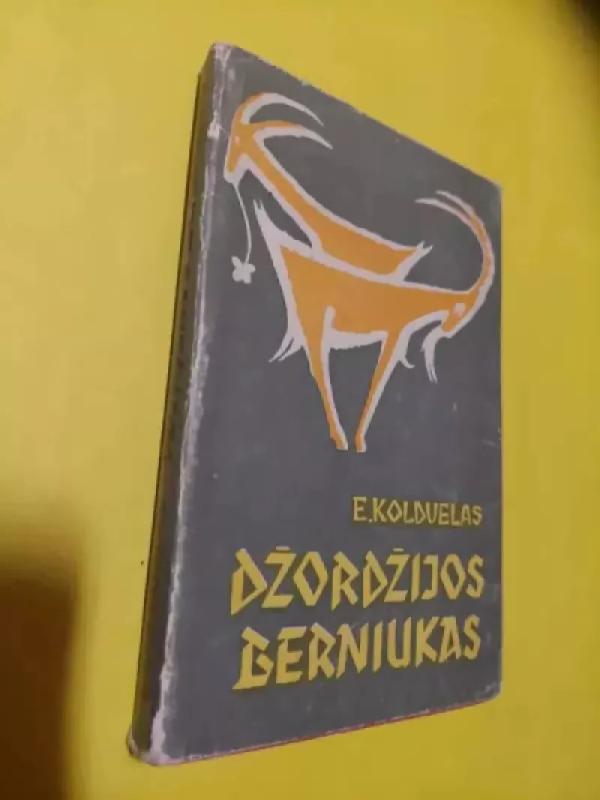 Džordžijos berniukas - Erskinas Koldvelas, knyga 2