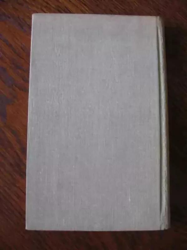 Lygiosios trunka akimirką - Icchokas Meras, knyga 5