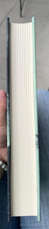 AKLAS SPĖJIMAS - Jørn Lier Horst, knyga 3