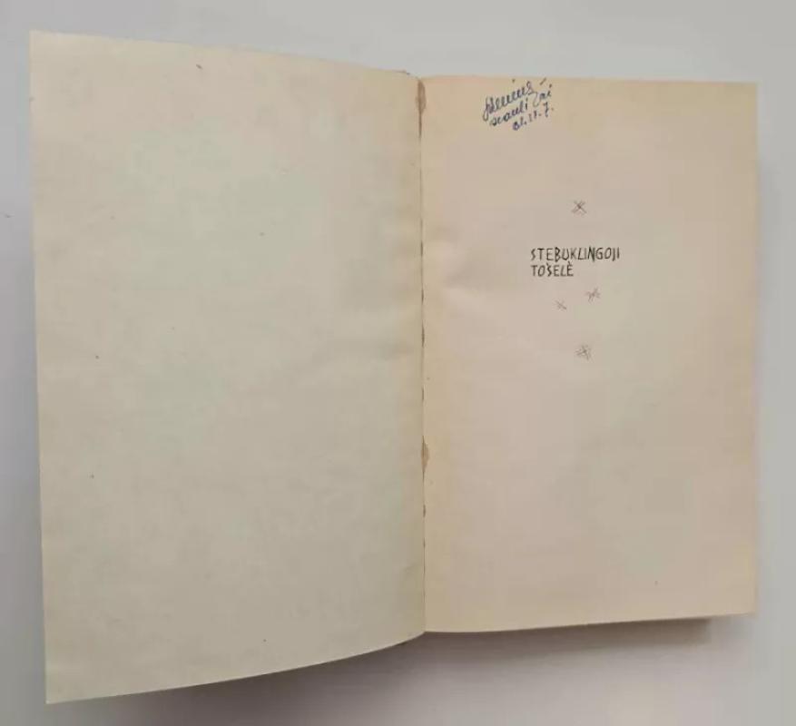 Stebuklingoji tošelė - Pelėda Lazdynų, knyga 3