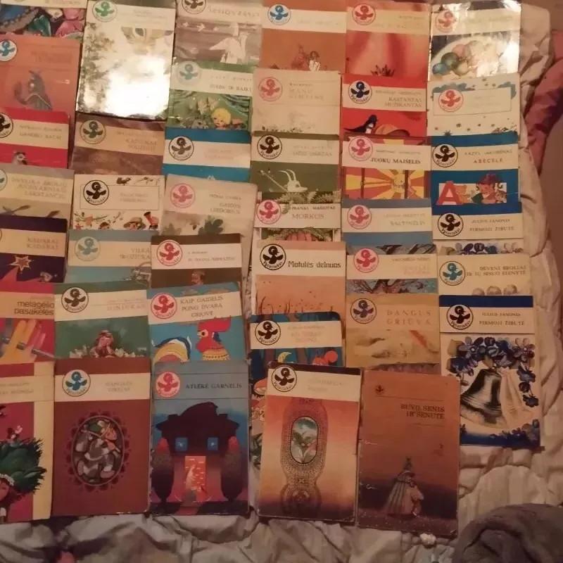 serija Vyturiukas - Autorių Kolektyvas, knyga 5