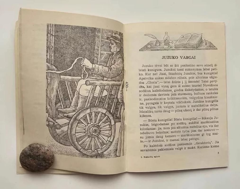 Našlaičių eglutė - Liudvika Didžiulienė - Žmona, knyga 4