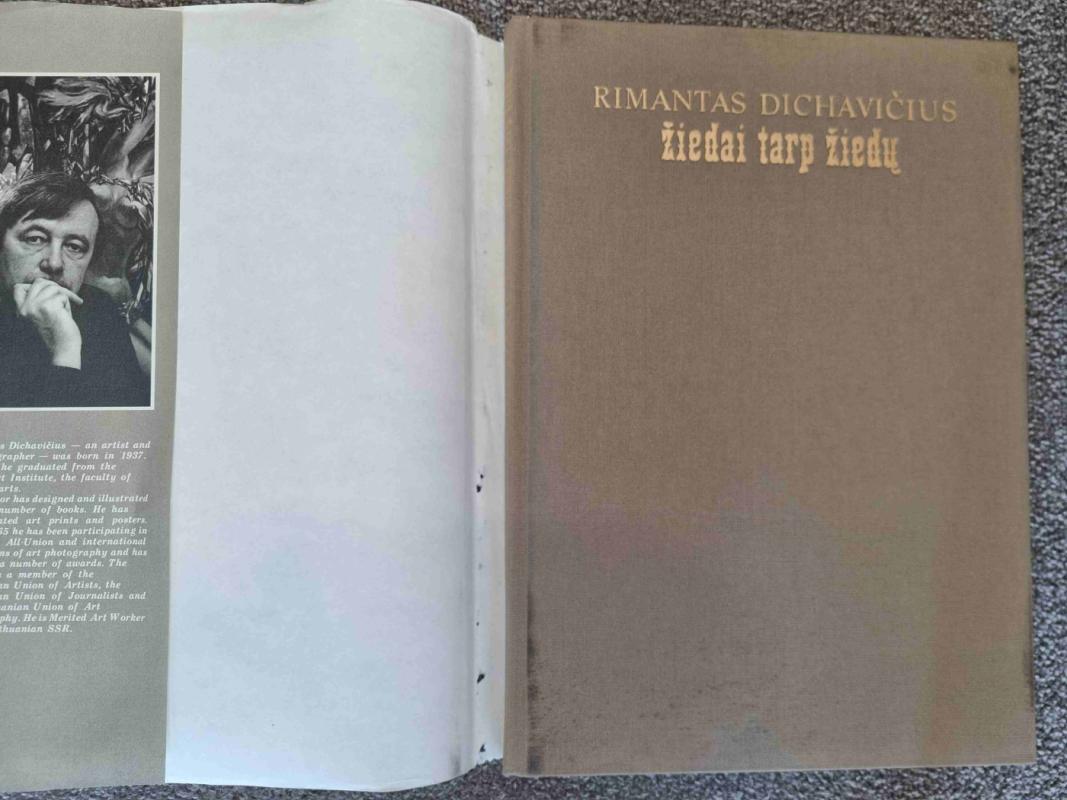 Žiedai tarp žiedų - Rimantas Dichavičius, knyga 6