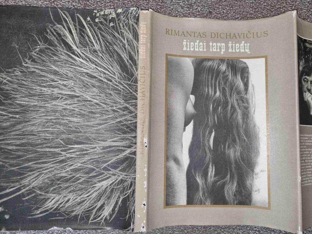 Žiedai tarp žiedų - Rimantas Dichavičius, knyga 5