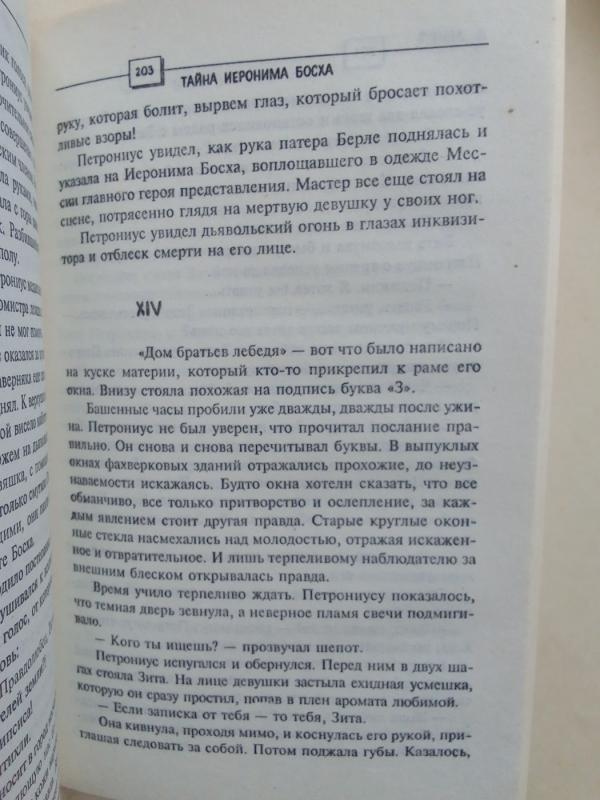 Jeronimo Boscho paslaptis - Peter Dempf, knyga 6