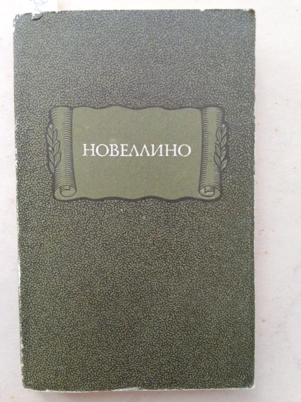 Novelino - Autorius Nežinomas, knyga 2