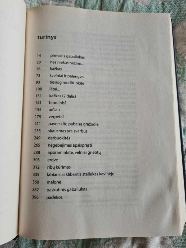 Įveiktas nerimas: pirmiausia pabaisą paverskime gražuole - Sarah Wilson, knyga 5