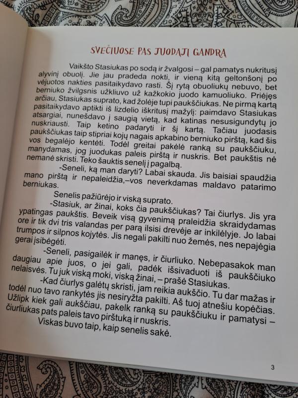 Stasiukas ir stebuklinga kėdutė - Alfonsas Rimkus, knyga 3