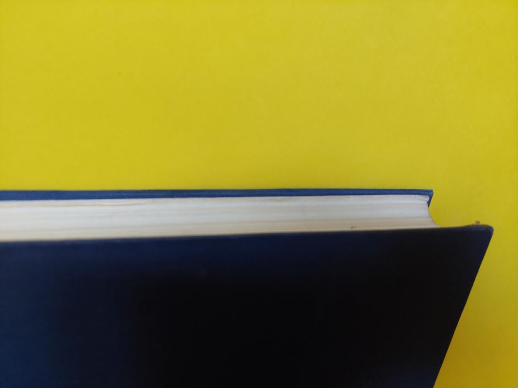 Dideli įvykiai Naujamiestyje - Jonas Dovydaitis, knyga 4