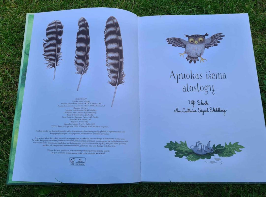 apuokas išeina atostogų - Ulf Stark, knyga 3