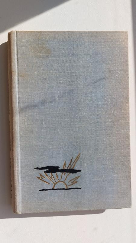 Dangus visuomet žydras - V. Veteikis, knyga 2